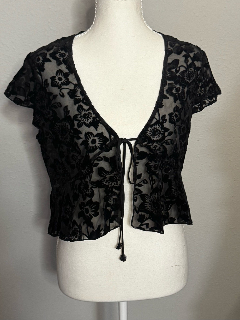 Free People Intimately Free Velvet crop tie up Crop sheer blouse top SZ S